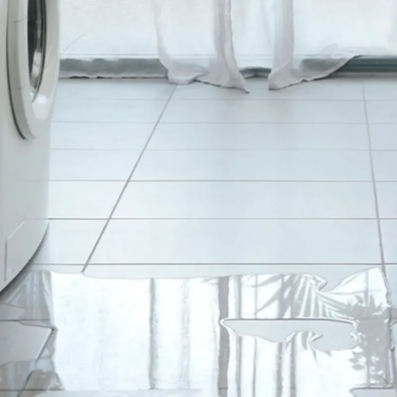 Appliance Leak Cleanup in Williamston, SC