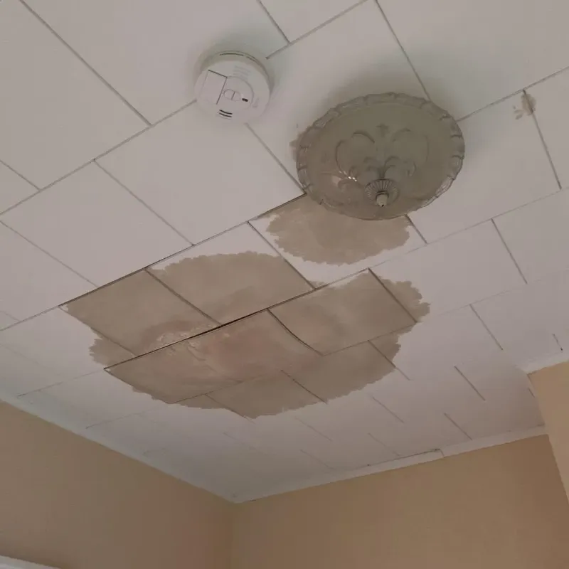 Ceiling Water Damage Repair in Williamston, SC