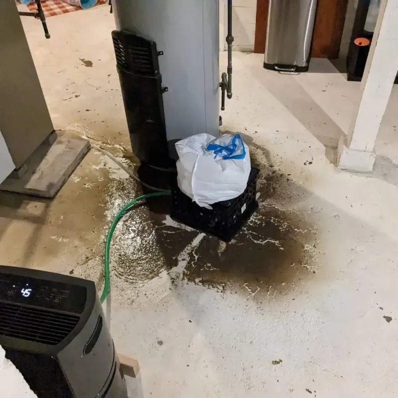 Sewage Backup Cleanup Service in Williamston, SC